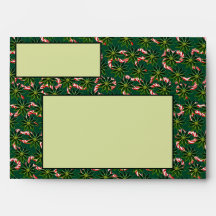 CANDY CANE SLANGEN in de GRAS envelop