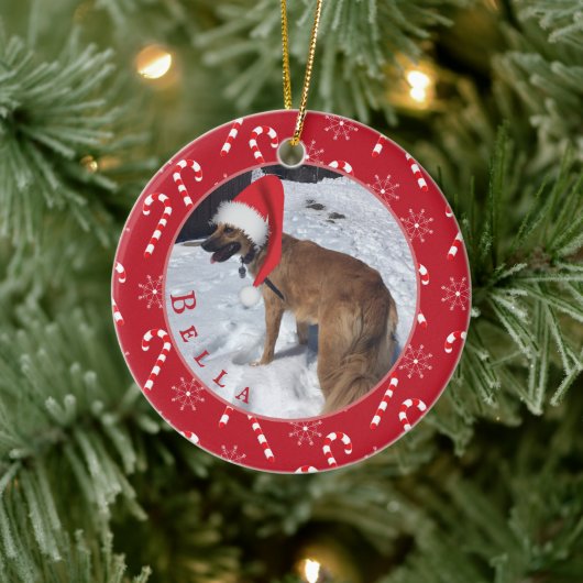 Candy Canes and Snowflakes Dog Photo Ornament (Boom)