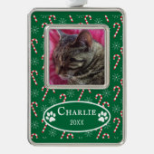 Candy Canes Cat Foto Green Frame Verzilverd Kader Ornament (Voorkant)