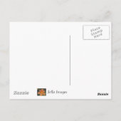 CANDY - carte postale (Dos)