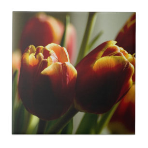 Candy Corn Tulips Ceramic Tile Tegeltje