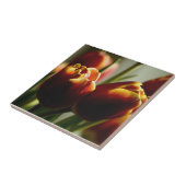 Candy Corn Tulips Ceramic Tile Tegeltje (Zijkant)