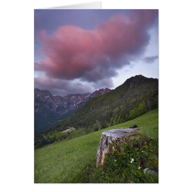 Candy Floss Cloud (Devant)