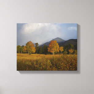 Candy Kleuren van Rocky Mountain National Park Canvas Afdruk