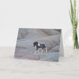 "Candyland"-kaartje Kaart