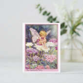 Candytuft fee briefkaart (Staand voorkant)