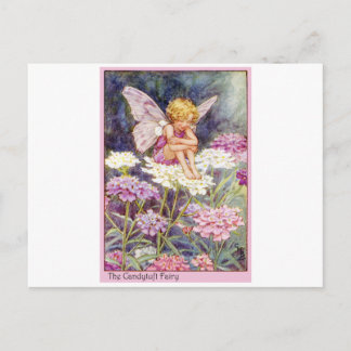 Candytuft fee briefkaart