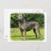 Cane Corso 8R056D-05 Briefkaart (Voorkant / Achterkant)