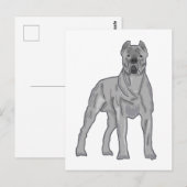 Cane Corso Briefkaart (Voorkant / Achterkant)