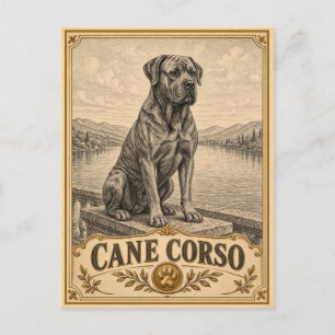 Cane Corso, Carte Postale de Chien de Patrimoine V