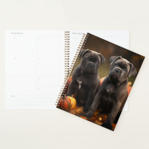 Cane Corso Chiot Automne Citrouille de plaisir