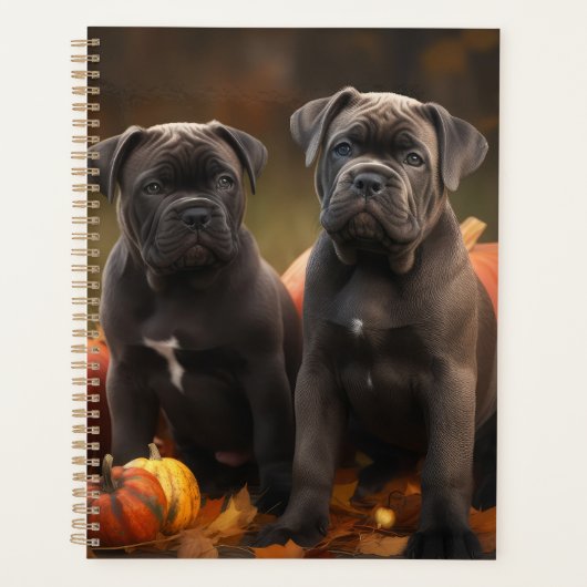 Cane Corso Chiot Automne Citrouille de plaisir (Devant)