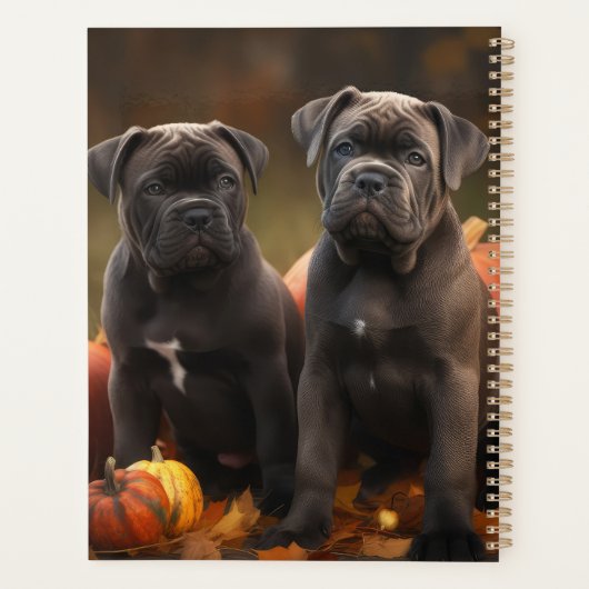 Cane Corso Chiot Automne Citrouille de plaisir (Dos)