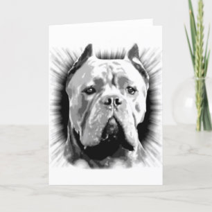 Cane Corso Dog Kaart