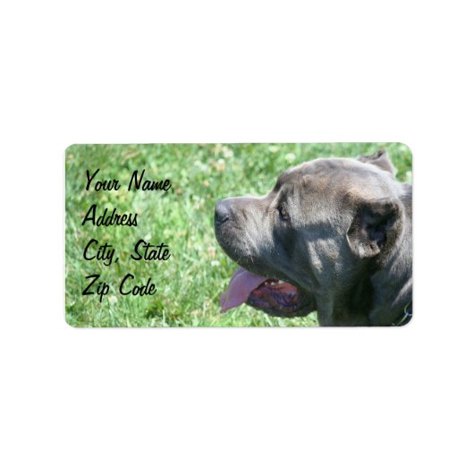 Cane Corso Étiquettes de adresse (Devant)