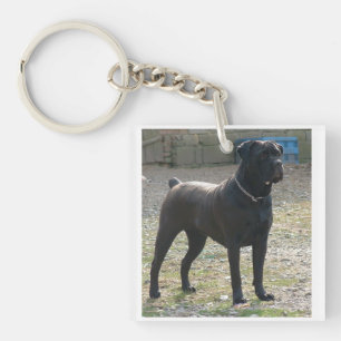 cane corso full.png sleutelhanger