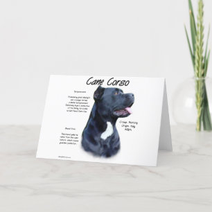 Cane Corso Geschiedenis Feestdagen Kaart