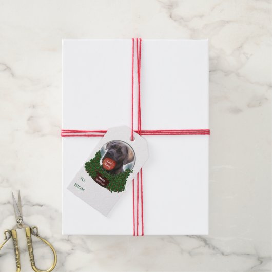 Cane Corso Gift Labels Cadeaulabel (Met Touw)