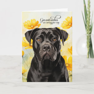 Cane Corso-hond Gouden Klaprozen Beterschap Kaart