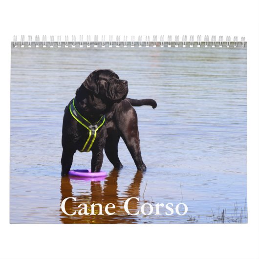 Cane Corso Hondenkalender Kalender (Hoes)