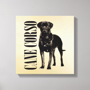 Cane Corso - Italiaans Mastiff Canvas Afdruk