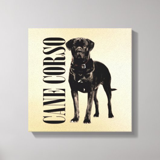Cane Corso - Italiaans Mastiff Canvas Afdruk (Voorkant)