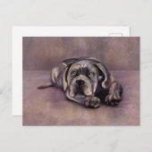 Cane Corso - Italiaanse Mastiff Puppy Briefkaart (Voorkant / Achterkant)