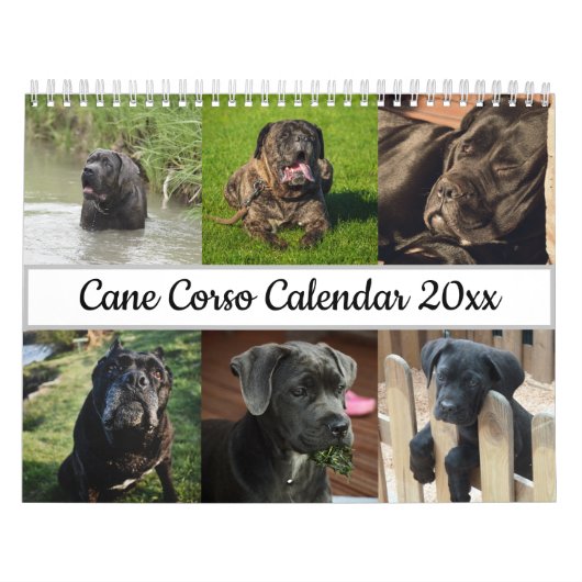 Cane Corso Kalender (Hoes)