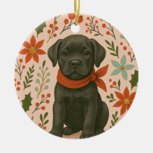 Cane Corso Kerstmis