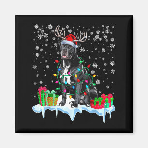 Cane Corso Kerstmis Sinterklaas Hoed Rendier Pyjam Magneet
