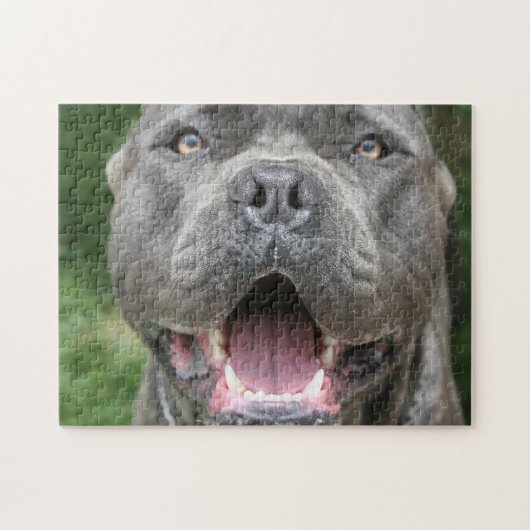 Cane Corso Mastiff Dog Legpuzzel (Horizontaal)