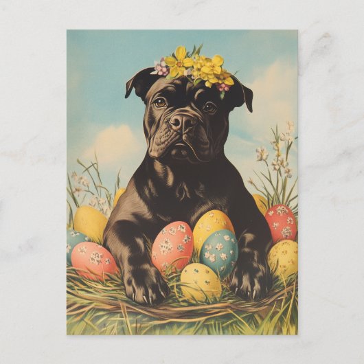 Cane Corso Pasen Briefkaart (Voorkant)