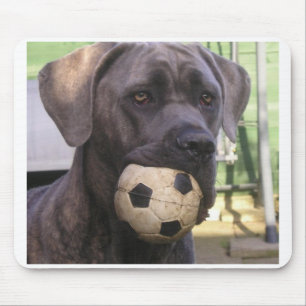 cane corso.png muismat