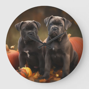 Cane Corso Pup Autumn Herfst Plezier Pompoen Grote Klok