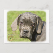 Cane Corso Puppy 8R062D-25 Briefkaart (Voorkant)
