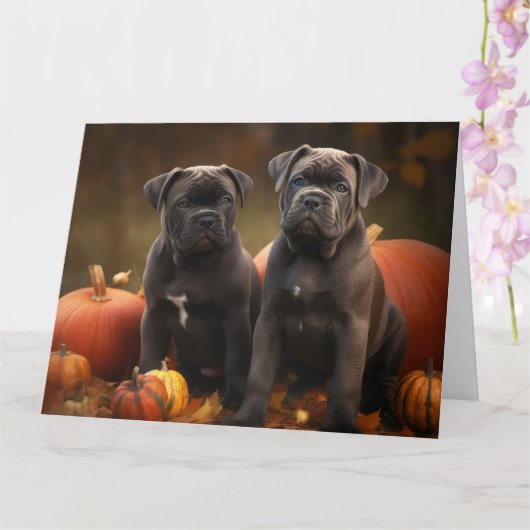 Cane Corso Puppy Herfstpomp Kaart (Orchidee)