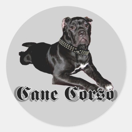 Cane Corso puppy stickers (Voorkant)