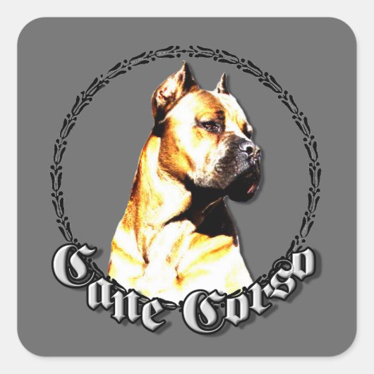 Cane corso stickers (Voorkant)