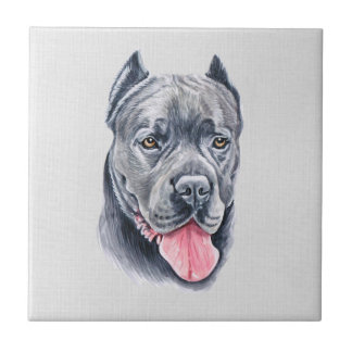 Cane Corso-Tegel Tegeltje