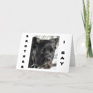 CANE CORSO WIL BROERS VERJAARDAG VIEREN KAART
