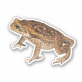 Cane Toad Sticker (Voorkant)