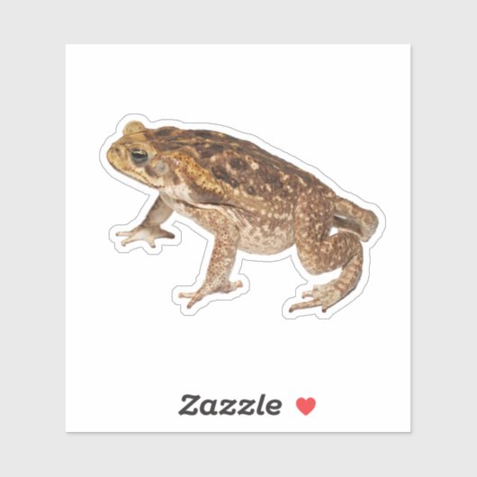 Cane Toad Sticker (Vel)