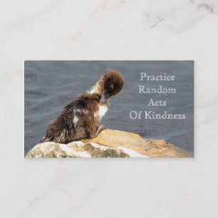 Caneton de Muscovy - cartes de RAOK (taille de