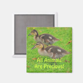 Canettes Amateurs d'animaux Magnets d'art faunique (Recto/Verso)