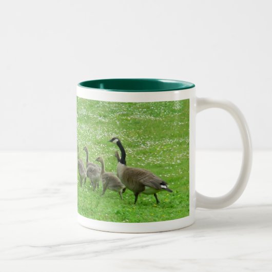 Canettes de café Canada Oies Mugs Verres d'oies (Droit)