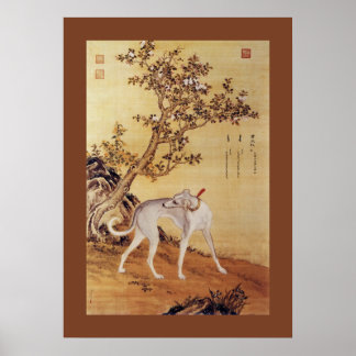 Cangshuiqiu 苍 水 虬 ~ Greyhound ~Giuseppe Castiglion Poster