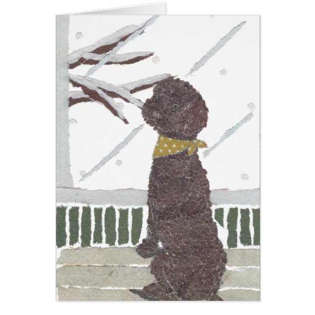 Caniche Brown, caniche de chocolat (Devant)