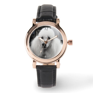 Caniche dans la montre-bracelet noire et blanche