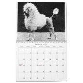 Caniches : Calendrier 2011 (Mar 2027)