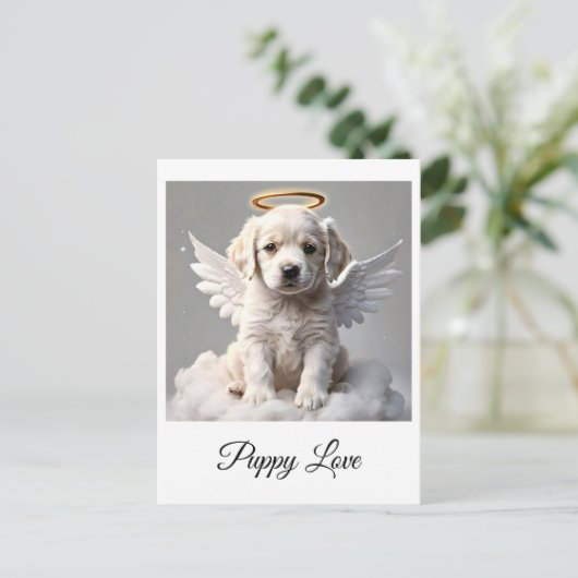 " CANINE CHERUB " CARTE POSTALE (Debout devant)